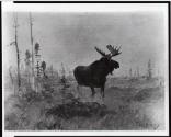 Courtesy of the Library of Congress