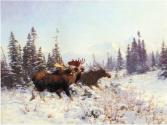Courtesy of the Glenbow Museum