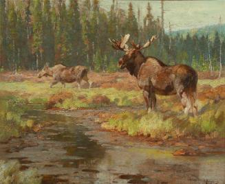 Courtesy Autry National Center