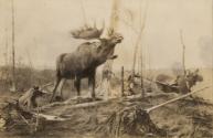Peter A. Juley, New York, Courtesy of the Frick Art Reference Library
