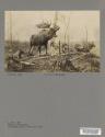 Peter A. Juley, New York, Courtesy of the Frick Art Reference Library
