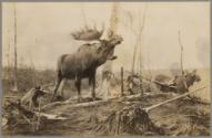 Peter A. Juley, New York, Courtesy of the Frick Art Reference Library