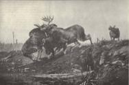 Reproduced in Gould, 1902