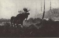 Reproduced in Gould, 1902