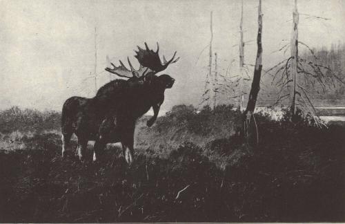 Reproduced in Gould, 1902
