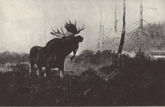 Reproduced in Gould, 1902