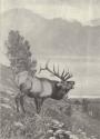 Reproduced in Gould, 1902