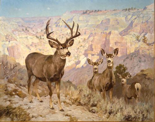 Courtesy of the Buffalo Bill Center of the West