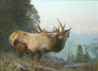 Courtesy National Museum of Wildlife Art