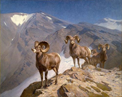 Courtesy of the Buffalo Bill Center of the West