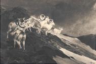 Zoological Society, 1930