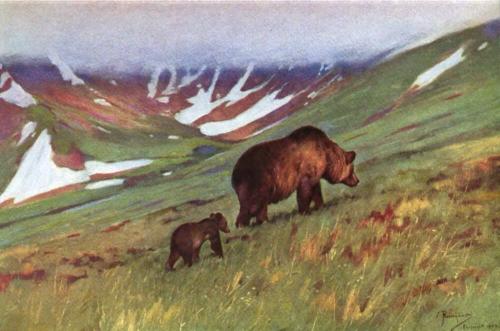 Sheldon, 1911 (Courtesy Hathi Trust)
