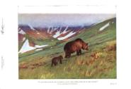 Sheldon, 1911 (Courtesy Hathi Trust)