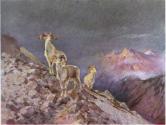 Sheldon, 1911, Courtesy Hathi Trust