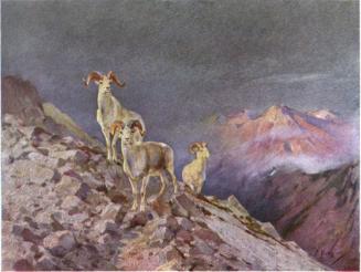 Sheldon, 1911, Courtesy Hathi Trust