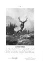 Cronau, 1909, Courtesy Hathi Trust