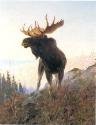 Courtesy of the Coeur d'Alene Art Auction
