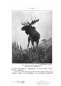 Cronau, 1909, Courtesy Hathi Trust
