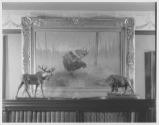 Courtesy of the Library of Congress, Prints & Photographs Division, Gottscho-Schleisner Collect…