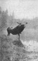 Robinson, 1924, Courtesy Hathi Trust