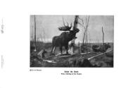 Reproduced in Moose Book, 1916 (Courtesy Hathi Trust)