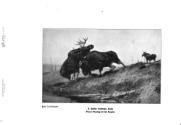 Reproduced in Merrill, 1920 (Courtesy Hathi Trust)