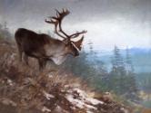 Courtesy of the Jackson Hole Art Auction