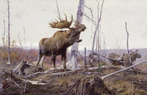 Courtesy of the Glenbow Museum