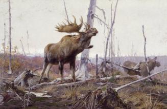 Courtesy of the Glenbow Museum