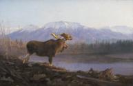 Courtesy Glenbow Museum