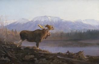 Courtesy Glenbow Museum