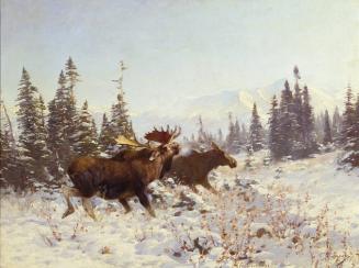Courtesy of the Glenbow Museum