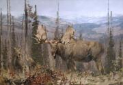 Courtesy Glenbow