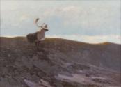 Courtesy of the March in Montana Art Auction