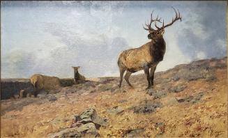 ADH