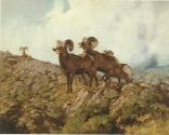 Courtesy Coeur d'Alene Art Auction