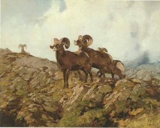 Courtesy Coeur d'Alene Art Auction