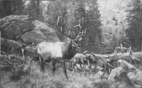 Courtesy of the Library of Congress