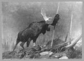 Courtesy of the Library of Congress
