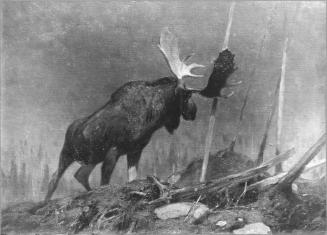 Courtesy of the Library of Congress