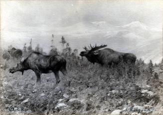 Courtesy of the Library of Congress