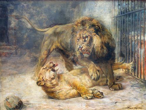 Lion and Lioness