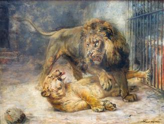 Lion and Lioness