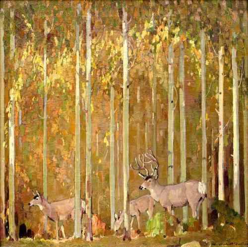 Blacktail Deer in Aspens