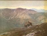 Courtesy Worrell Collection