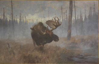 Courtesy Sagamore Hill National Historic Site/NPS