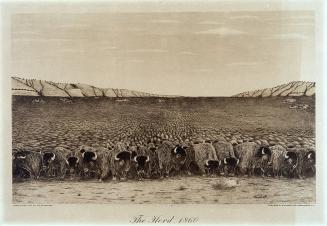 The Herd, 1860