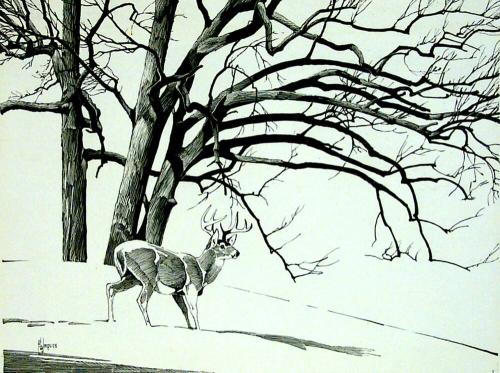 Deer in Snowy Landscape Etching