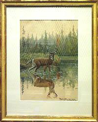 Twelve Point Deer