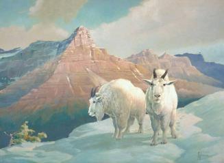 Mountain Goats